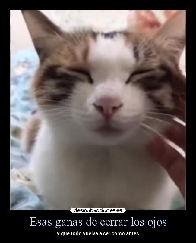 Esas ganas de cerrar los ojos -
