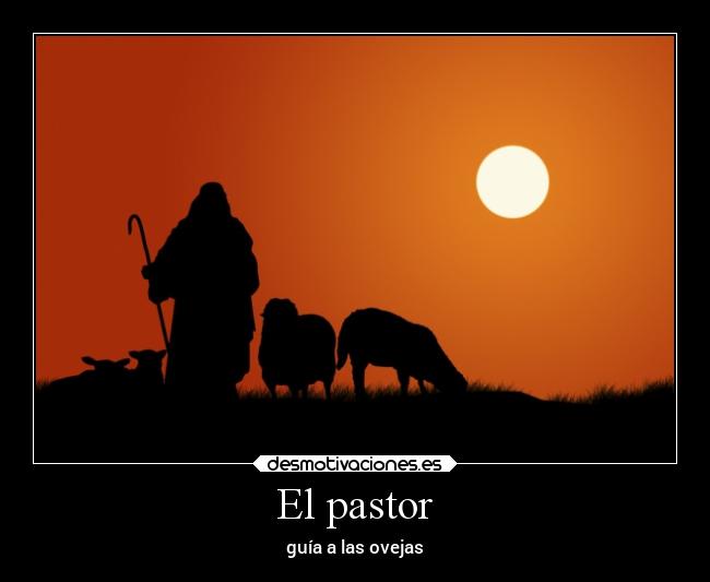 El pastor - guía a las ovejas