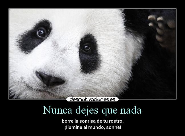 Nunca dejes que nada - borre la sonrisa de tu rostro.
¡Ilumina al mundo, sonríe!