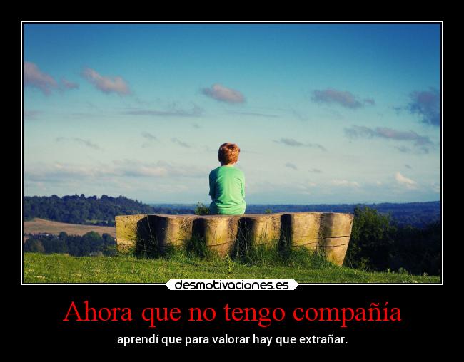 Ahora que no tengo compañía -