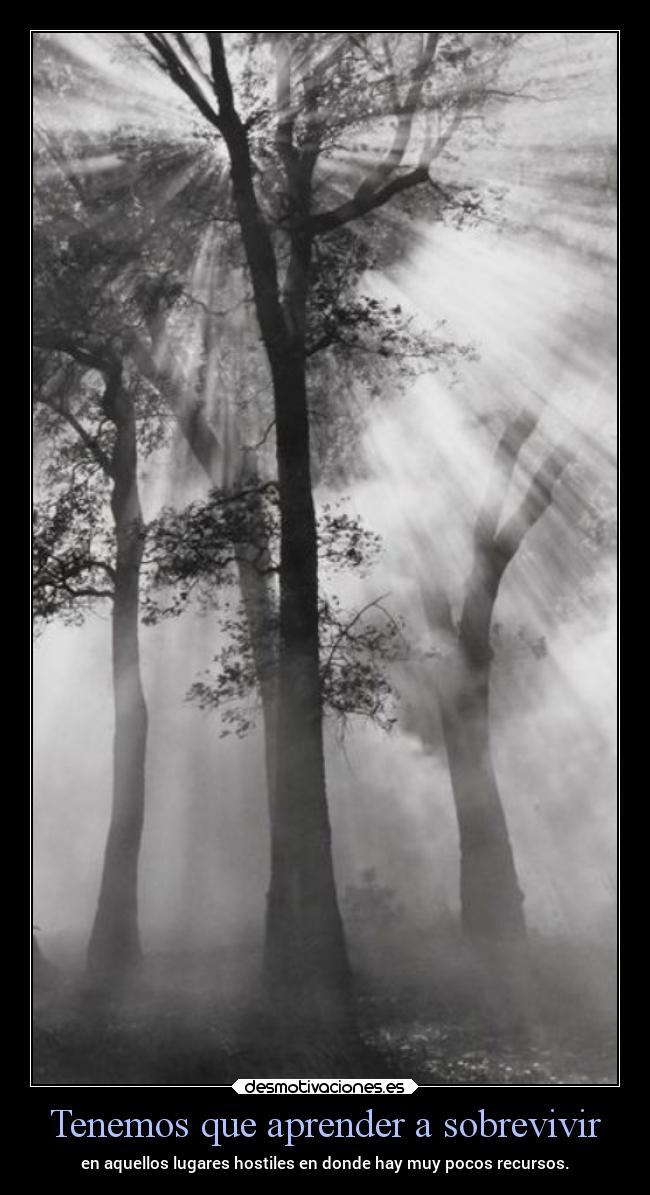 carteles vida frases ltsc alex vazquez999 desmotivaciones