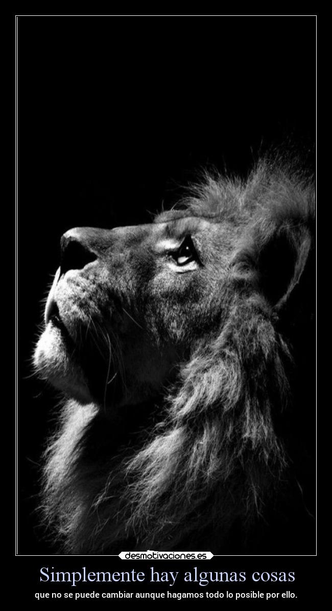 carteles vida frases ltsc alex vazquez999 desmotivaciones