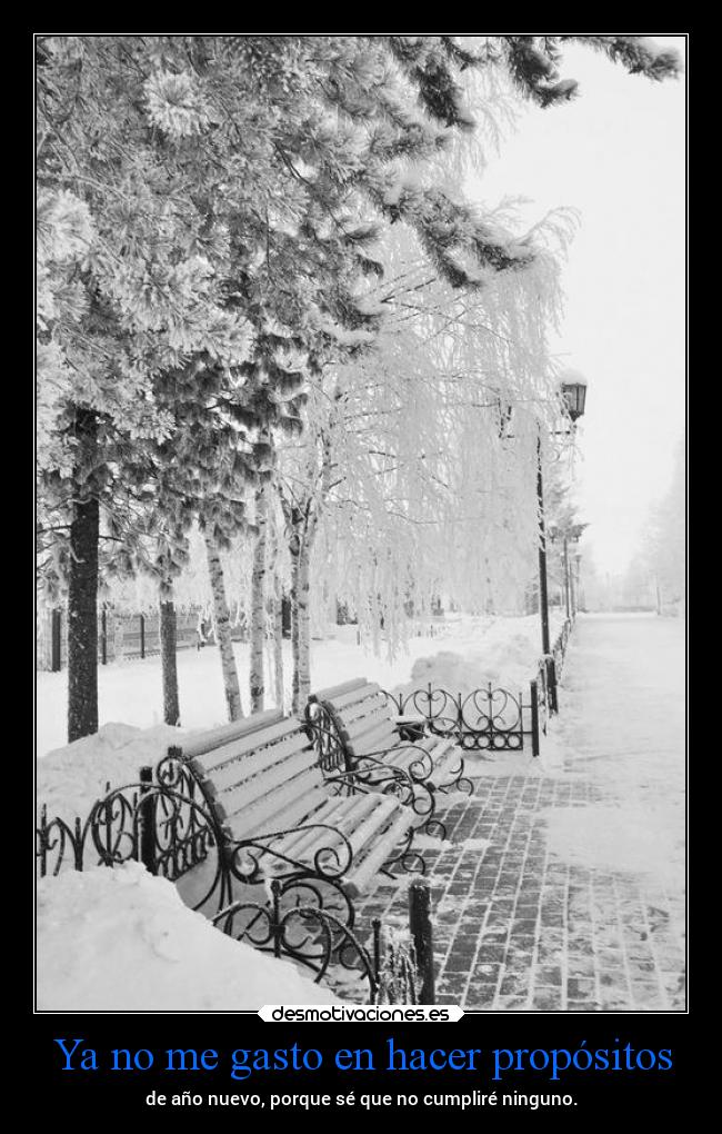 Ya no me gasto en hacer propósitos - 
