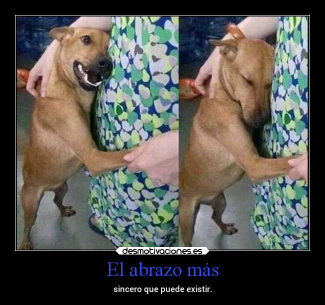 El abrazo más - 