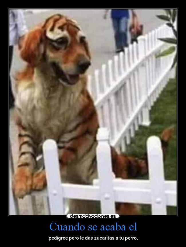 carteles vida nooppainolifeunofficial desmotivaciones