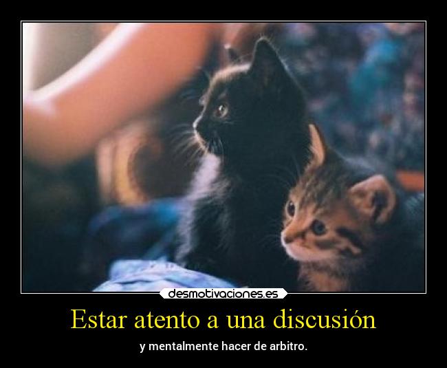Estar atento a una discusión -