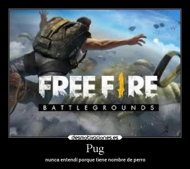 Pug - nunca entendí porque tiene nombre de perro