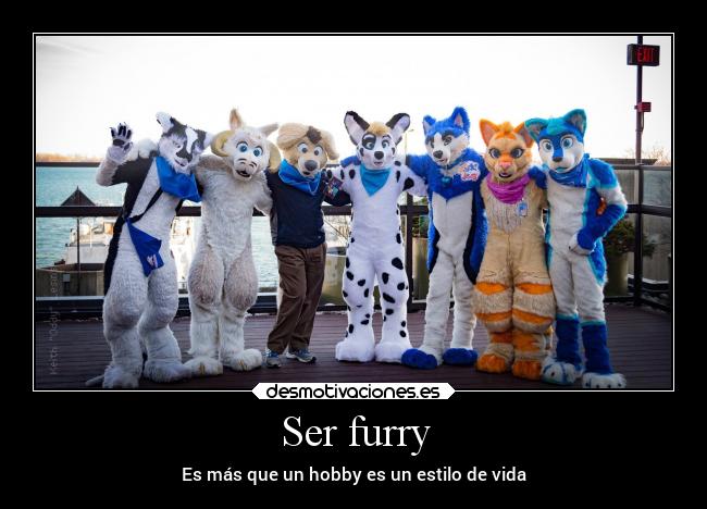 Ser furry -