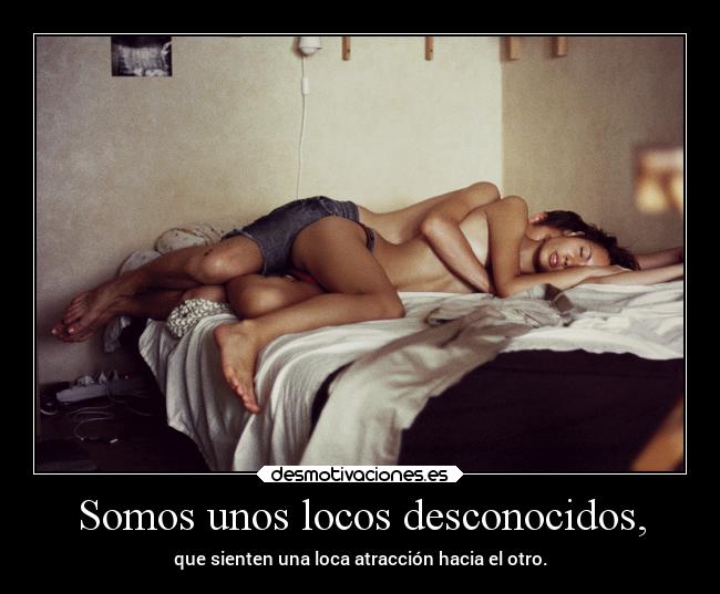 carteles amor locos desconocidos tuli desmotivaciones