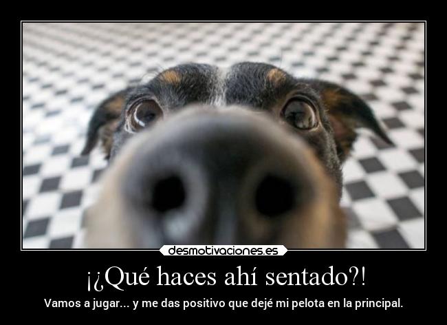 ¡¿Qué haces ahí sentado?! -