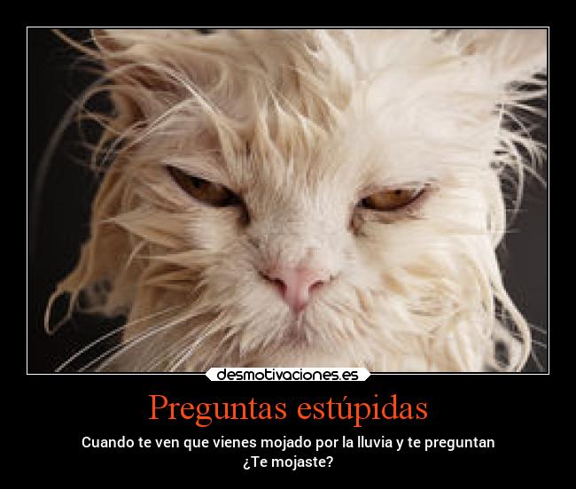 Preguntas estúpidas - Cuando te ven que vienes mojado por la lluvia y te preguntan
¿Te mojaste?