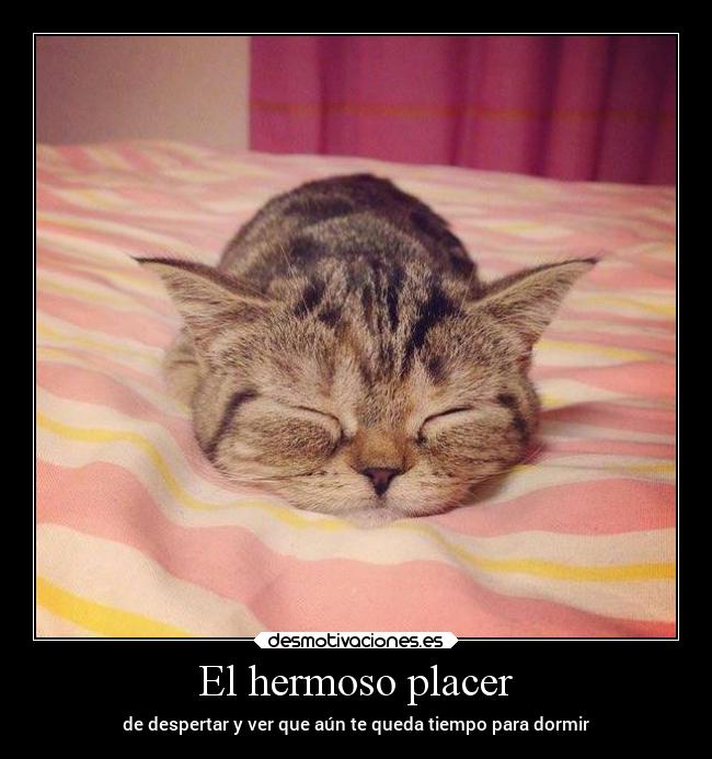 El hermoso placer - 