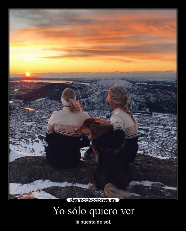 Yo sólo quiero ver -