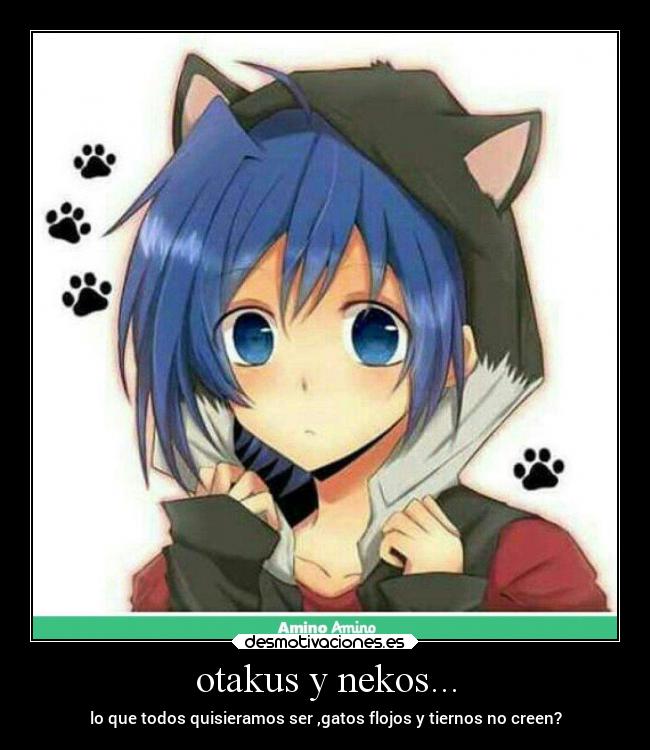 otakus y nekos... - lo que todos quisieramos ser ,gatos flojos y tiernos no creen?