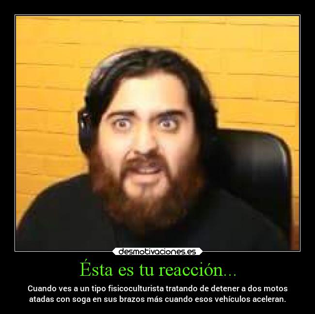 carteles imposible humor locura miedo tonto idiotez reacciones desmotivaciones