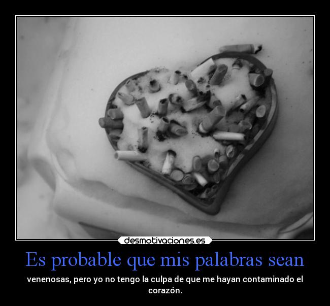 Es probable que mis palabras sean -