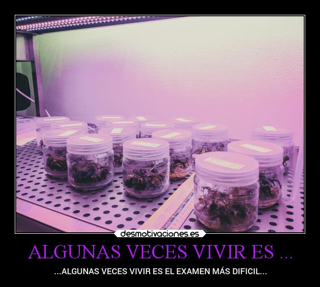 ALGUNAS VECES VIVIR ES ... - ...ALGUNAS VECES VIVIR ES EL EXAMEN MÁS DIFICIL...