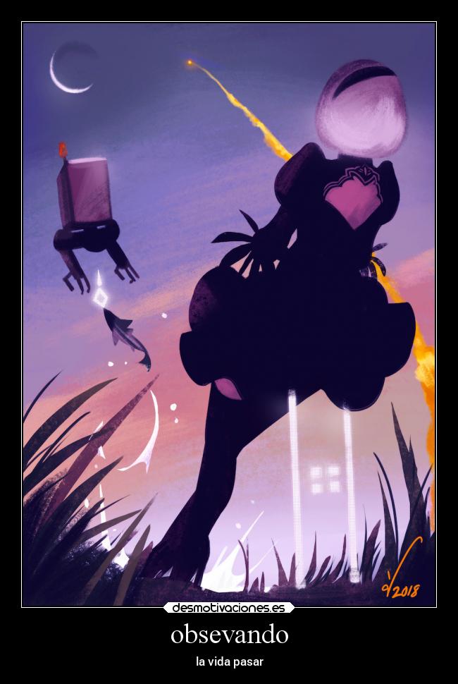 obsevando - la vida pasar