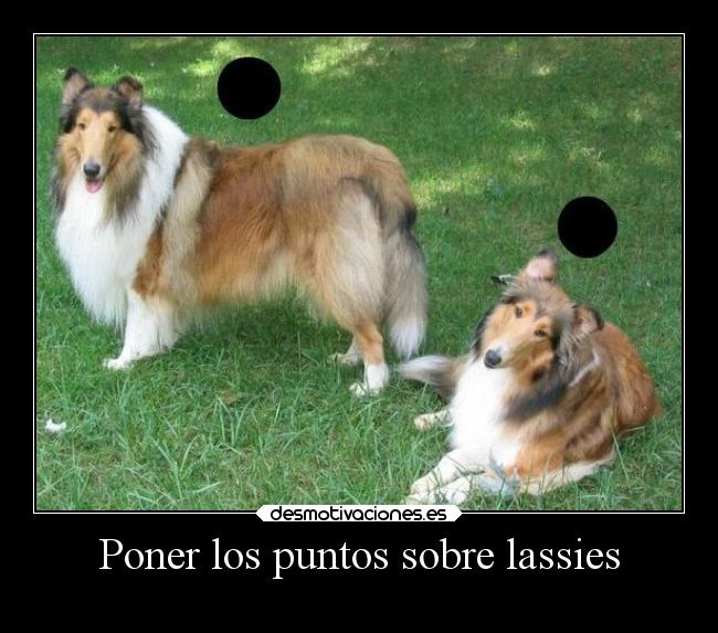 Poner los puntos sobre lassies -