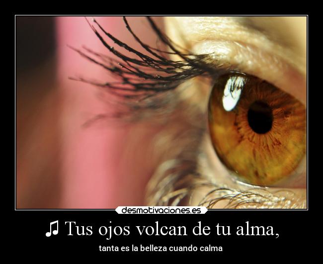 ♫ Tus ojos volcan de tu alma, - tanta es la belleza cuando calma ♫