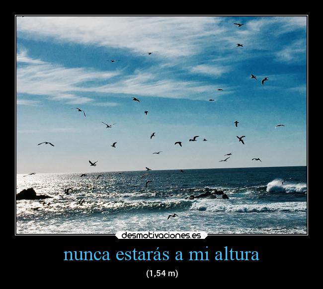 nunca estarás a mi altura - (1,54 m)