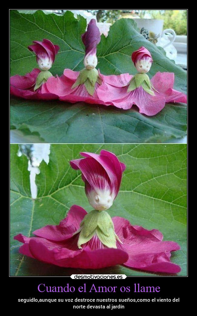 Cuando el Amor os llame - seguidlo,aunque su voz destroce nuestros sueños,como el viento del
norte devasta al jardín