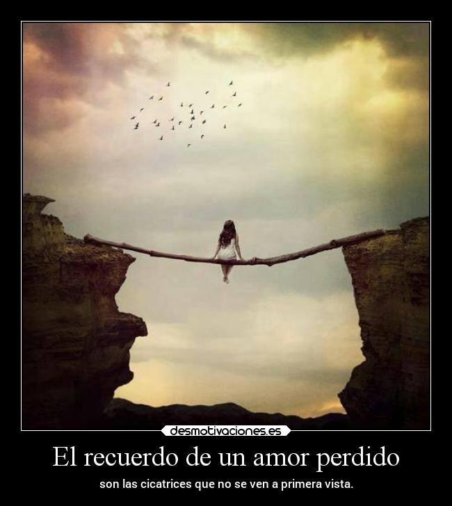 carteles amor amor desamor frases recuerdos desmotivaciones