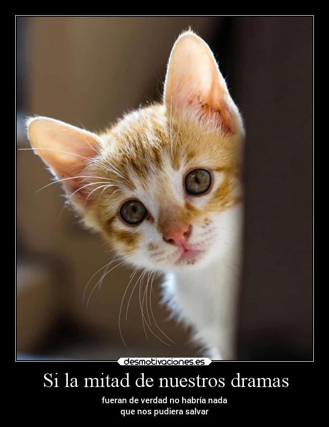 Si la mitad de nuestros dramas - fueran de verdad no habría nada
que nos pudiera salvar