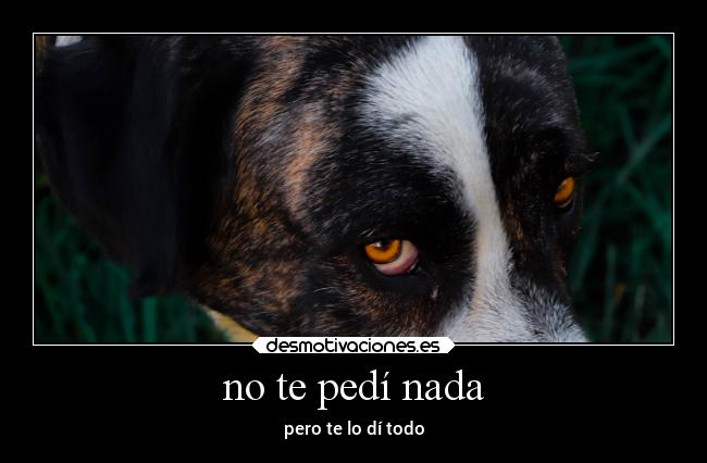 no te pedí nada - pero te lo dí todo