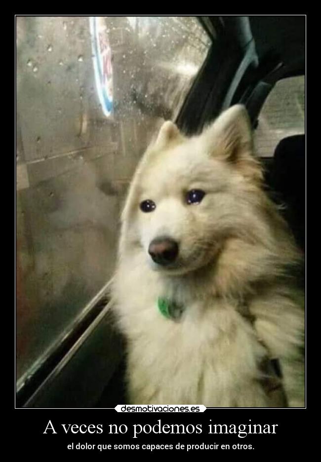 A veces no podemos imaginar - el dolor que somos capaces de producir en otros.