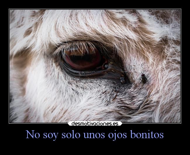 No soy solo unos ojos bonitos -