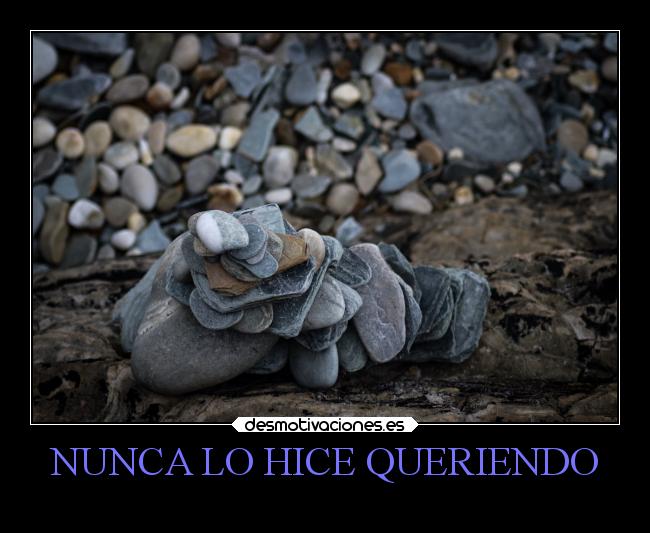 NUNCA LO HICE QUERIENDO -