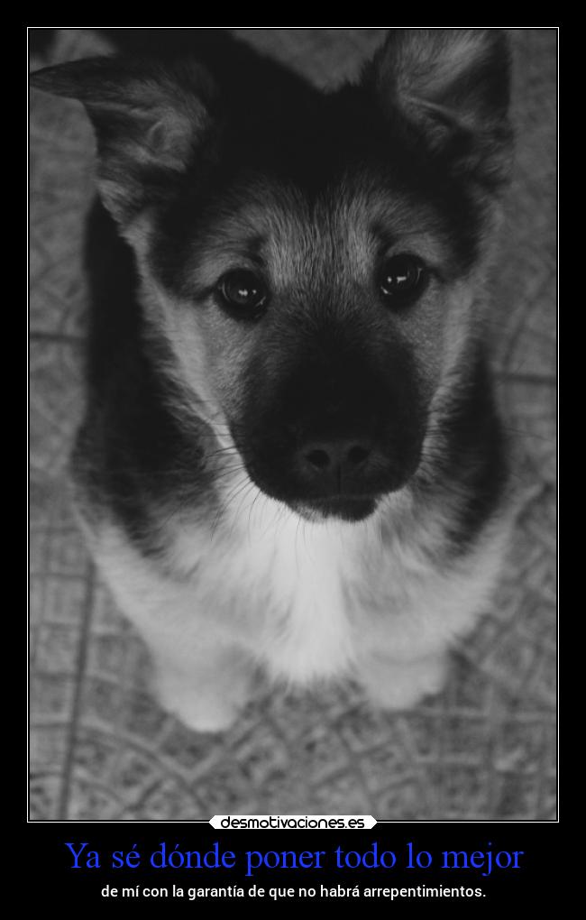 carteles vida mimimimiteamo mels desmotivaciones