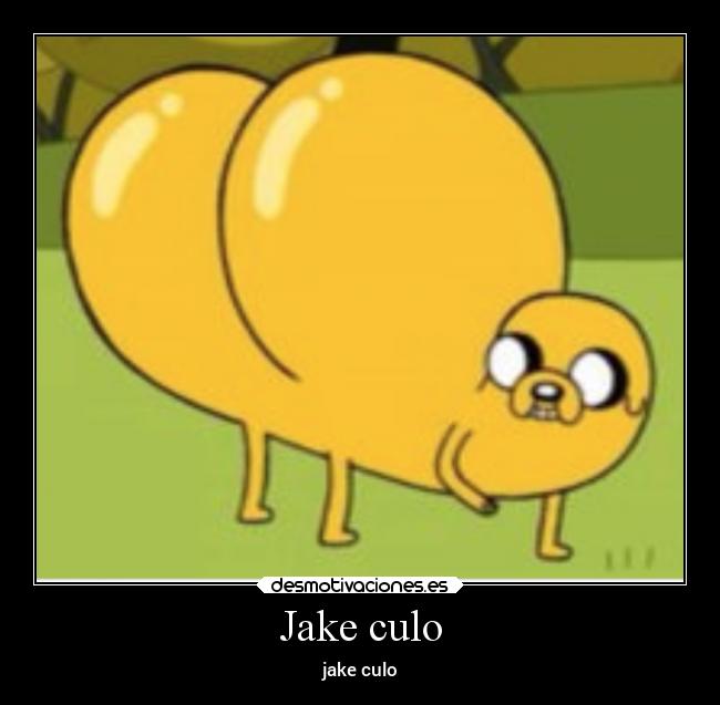 Jake culo - 