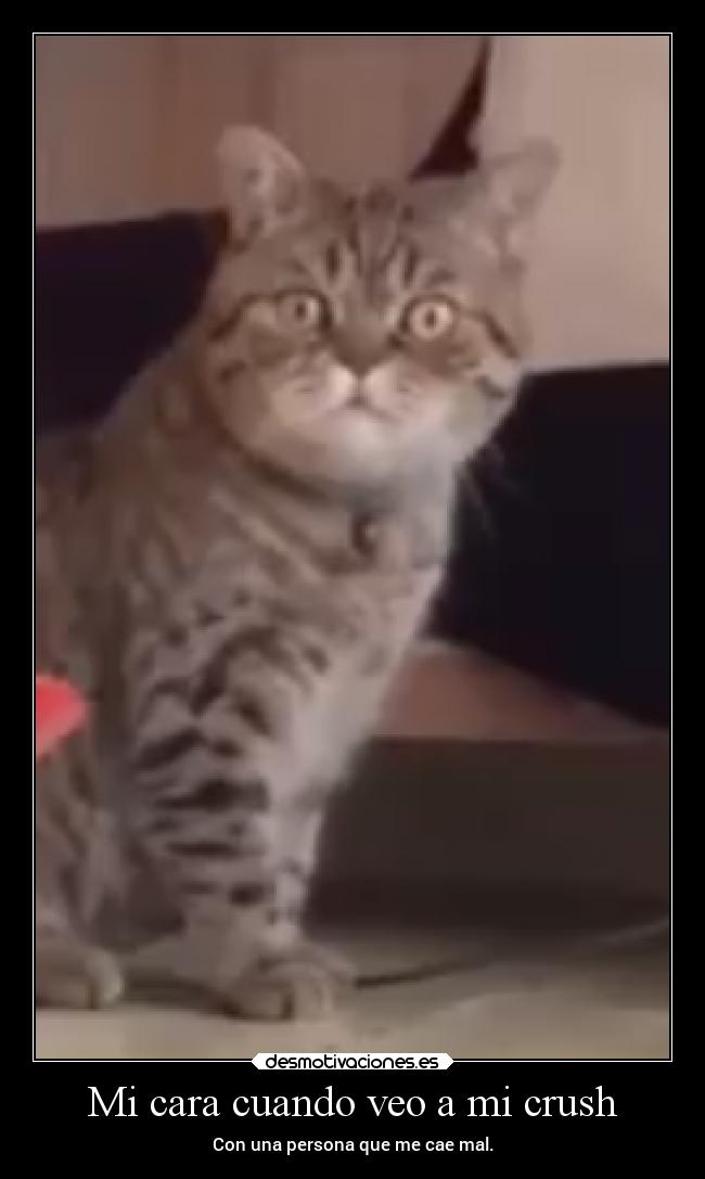 Mi cara cuando veo a mi crush - 