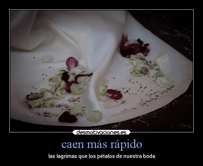 caen más rápido - las lagrimas que los pétalos de nuestra boda