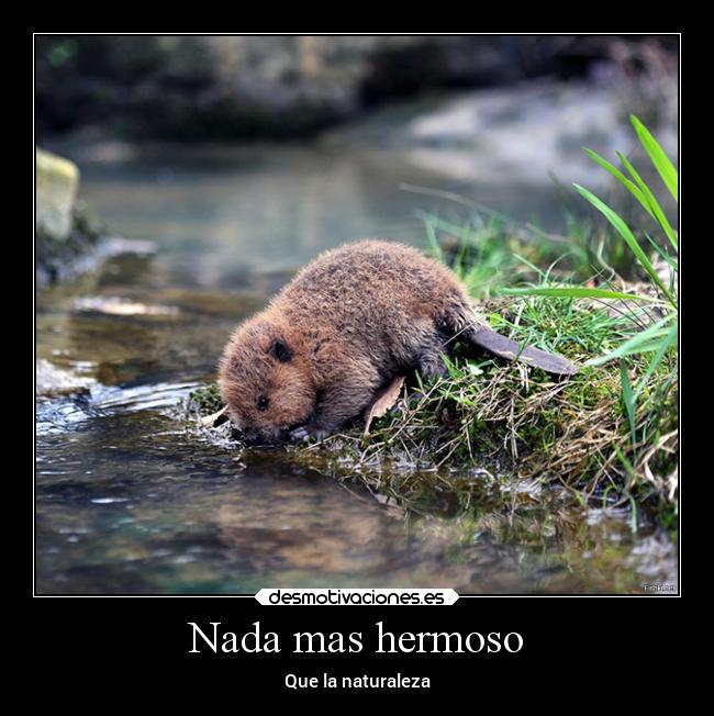 Nada mas hermoso - Que la naturaleza