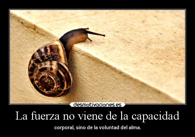 La fuerza no viene de la capacidad - 