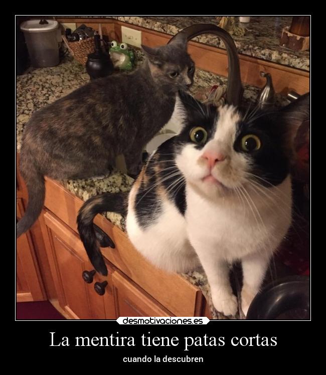 La mentira tiene patas cortas - cuando la descubren