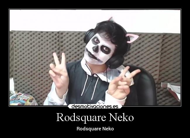 Rodsquare Neko - Rodsquare Neko