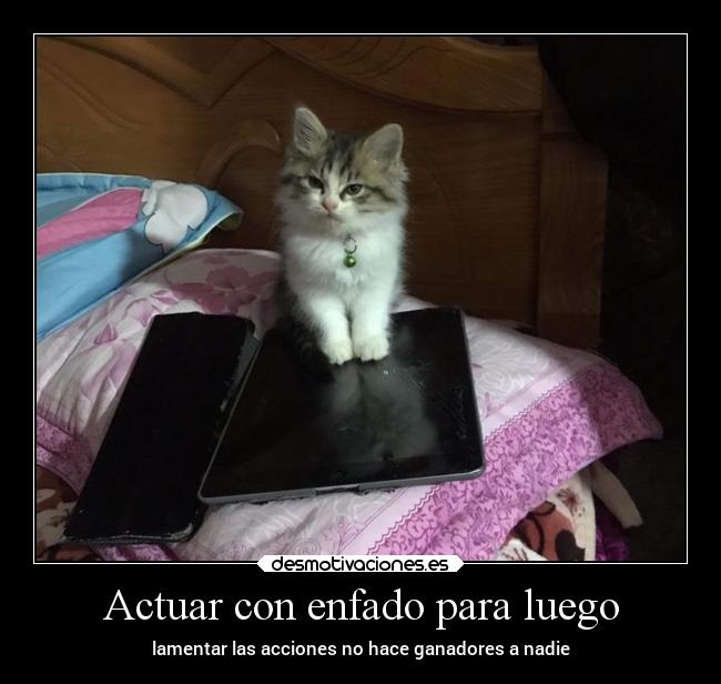 Actuar con enfado para luego - lamentar las acciones no hace ganadores a nadie