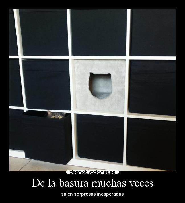 De la basura muchas veces - salen sorpresas inesperadas