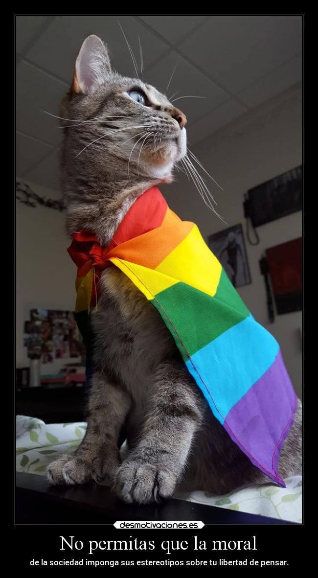 No permitas que la moral -