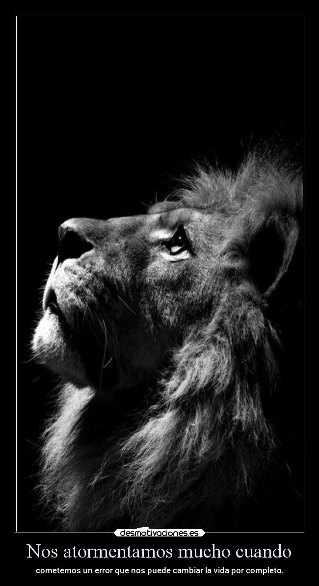 carteles vida frases ltsc alex vazquez999 desmotivaciones