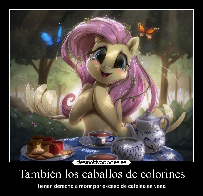 También los caballos de colorines - tienen derecho a morir por exceso de cafeína en vena