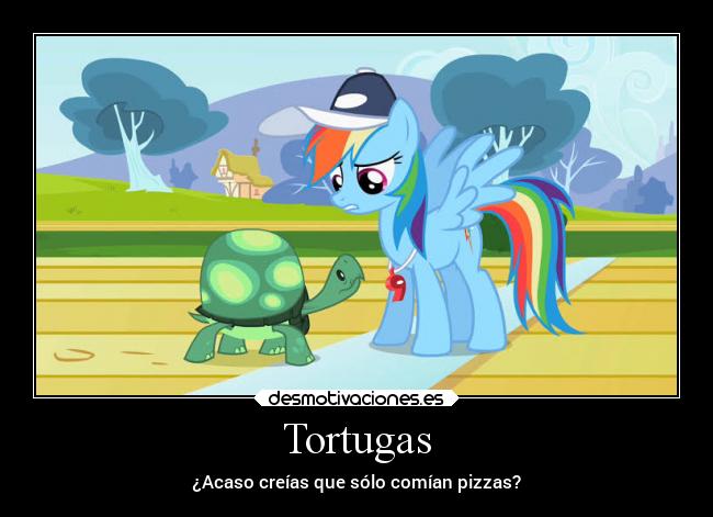 Tortugas - ¿Acaso creías que sólo comían pizzas?