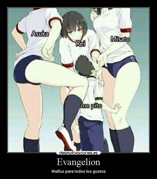 Evangelion - Waifus para todos los gustos