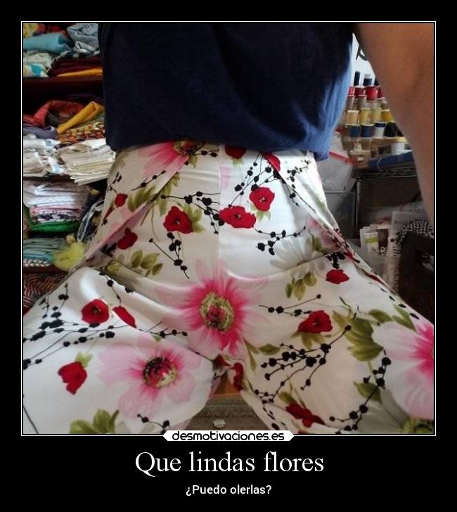 Que lindas flores -