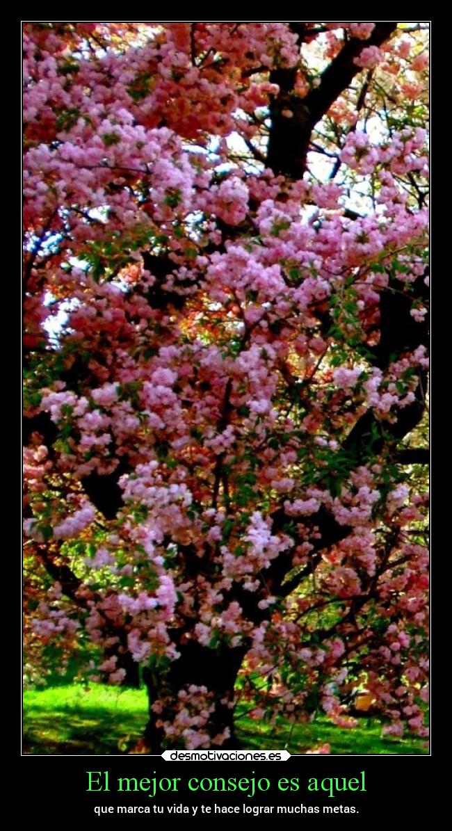 carteles desmotivaciones chopper igbt desmotivaciones