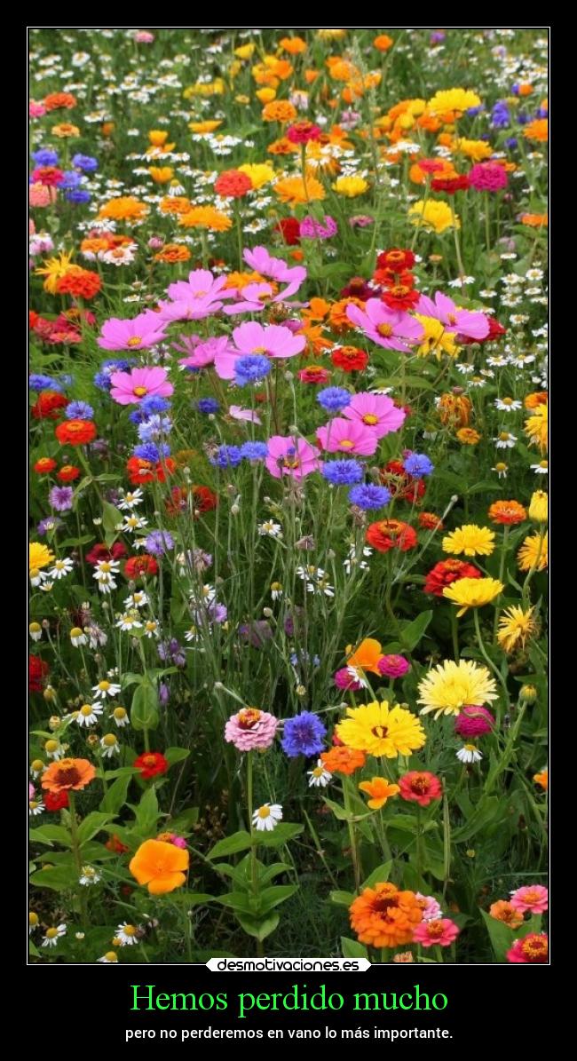 carteles desmotivaciones chopper igbt desmotivaciones